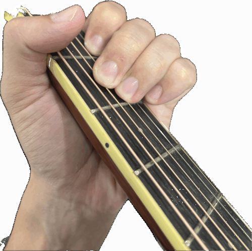 Amコードフォーム