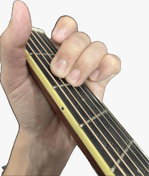 Emコードフォーム